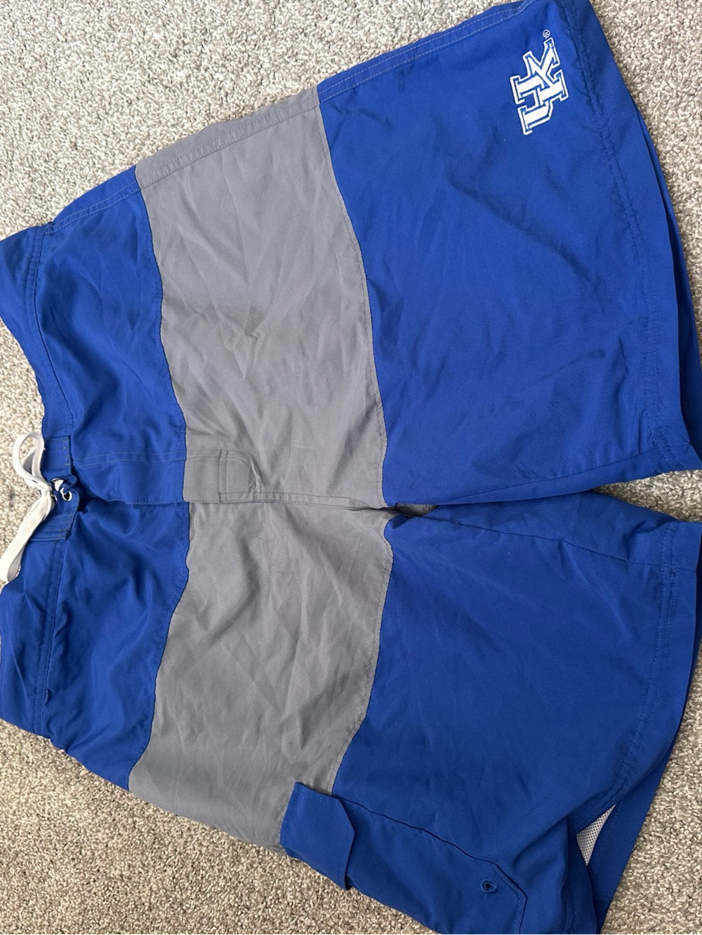Pro Edge Royal Blue Mesh Lined Swim Shorts